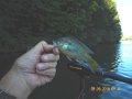 DSCN1657