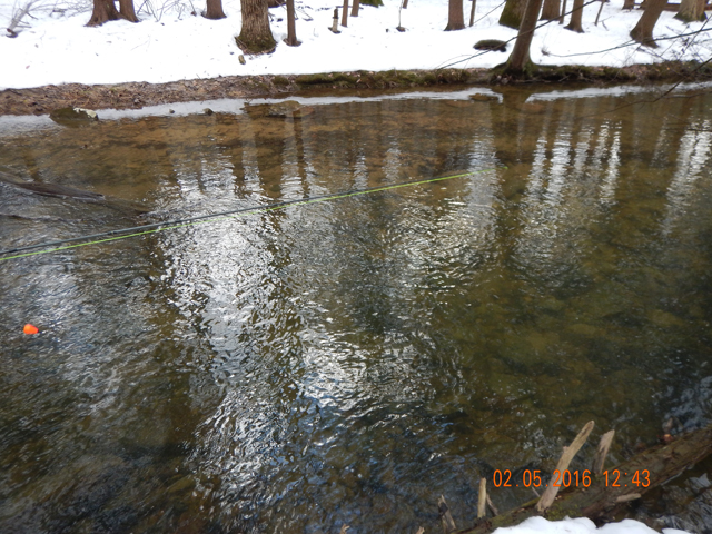 DSCN0838.jpg -                                