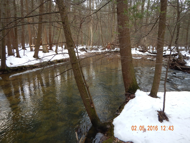 DSCN0839.jpg -                                