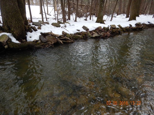 DSCN0842.jpg -                                