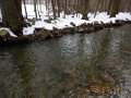 DSCN0842