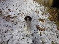 DSC01397