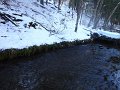 DSC01410