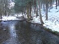 DSC01411