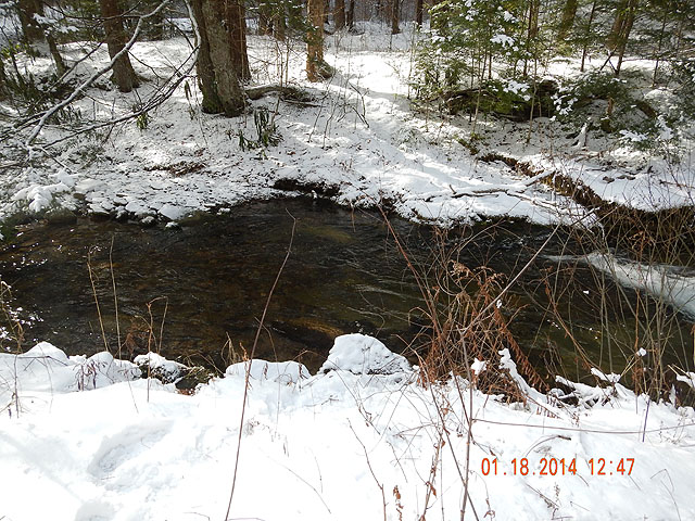 DSCN0344.jpg -                                About 3 to 4 inches of snow on the ground.  Air temps in the teens and water temp was about 34.8 degrees
