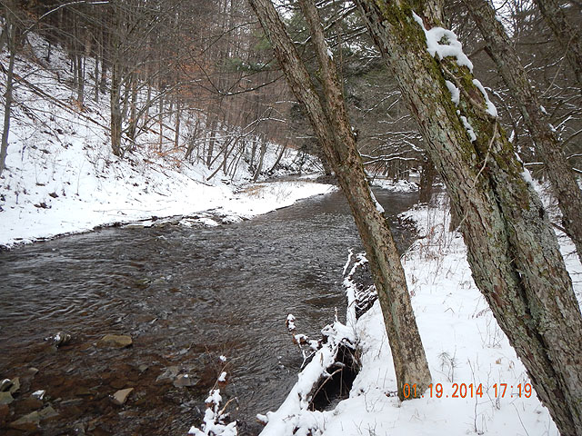DSCN0371.jpg -                                Scenic 1