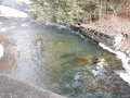 DSCN0339