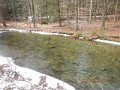 DSCN0342