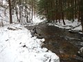 DSCN0346