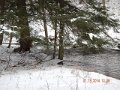 DSCN0355