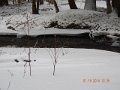 DSCN0363