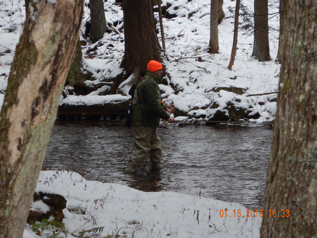 DSCN0807.jpg -                                Gary working a wild trout stream