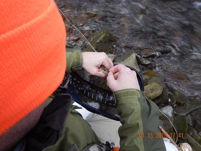 DSCN0817.jpg -                                Ease the hook out without hurting the fish!