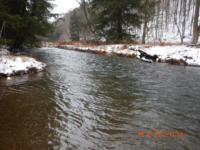 DSCN0829.jpg -                                This is a stocked stream but we were catching wild trout.