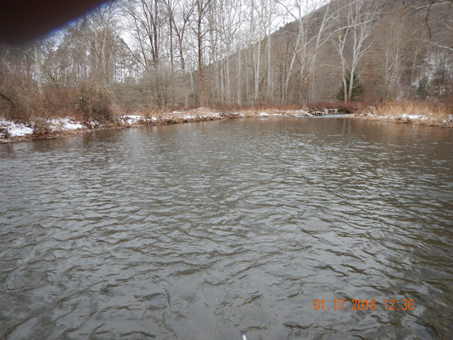 DSCN0835.jpg -                                In the spring, this stream bubbles with surface takes.