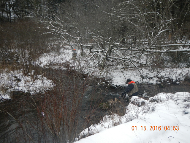 DSCN1577.jpg -                                