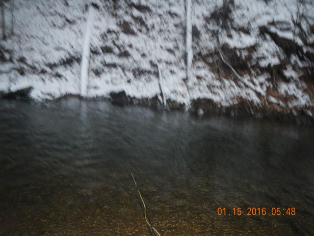DSCN1585.jpg -                                