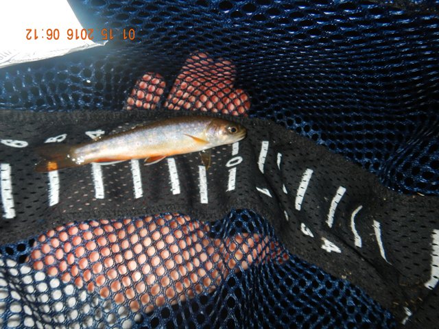 DSCN1589.jpg -                                