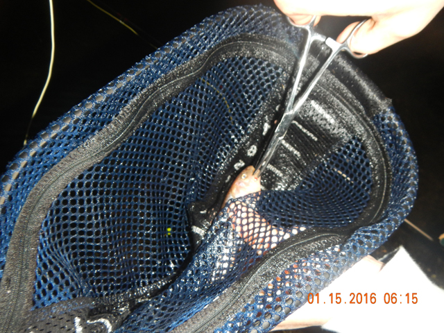 DSCN1594.jpg -                                