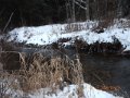DSCN0823