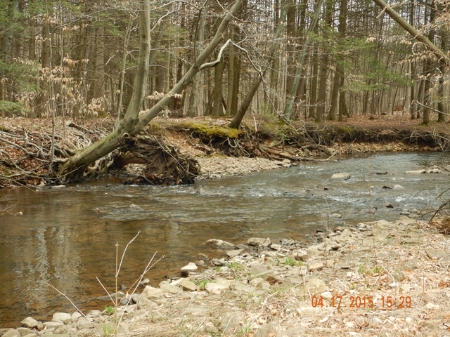 DSCN0262.jpg -                                