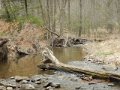 DSCN0261