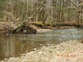 DSCN0262