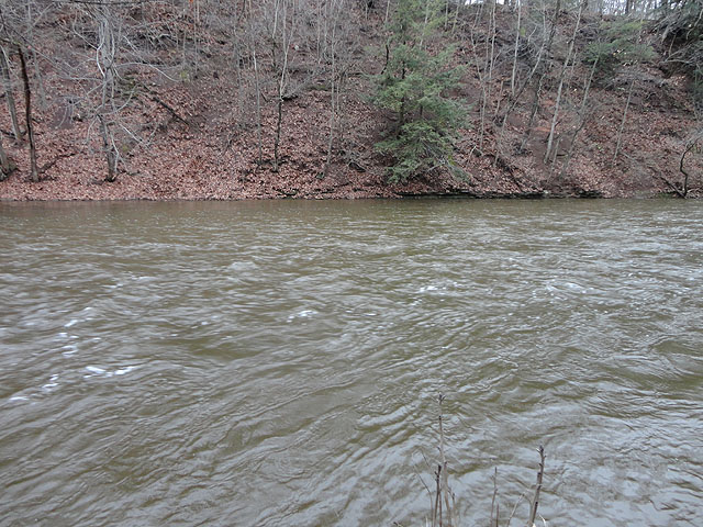 DSC00443.jpg - Water high and off color.                               