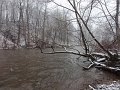 DSC00452