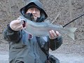 DSC00531