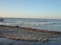 DSC00537