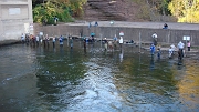 DSC01570