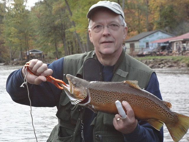 DSC00363.jpg - And still another Brown of mine