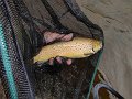 DSC00406