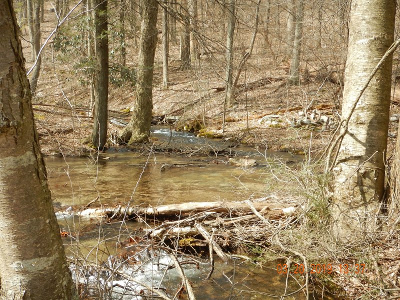 $Patterson1005$.jpg - Here would be a spot to cast a dry....mmmm.