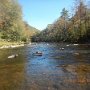 PennsFall2512