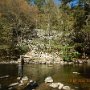 PennsFall2515
