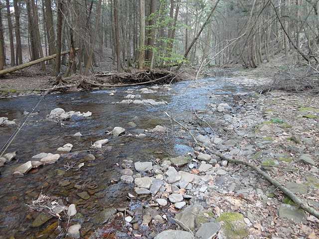 DSC00658.jpg -                                Trout Run Senic 2
