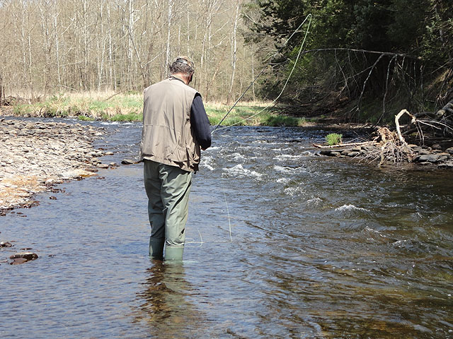 DSC00674.jpg -                                Dave fishing the run....not as easy as it looks...just ask Dave!