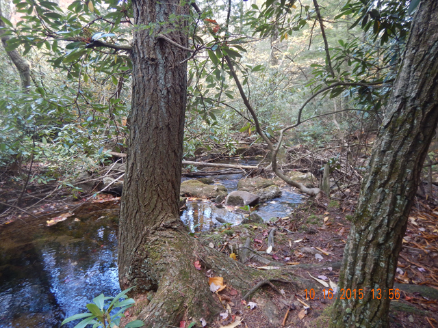 DSCN0714.jpg -                                