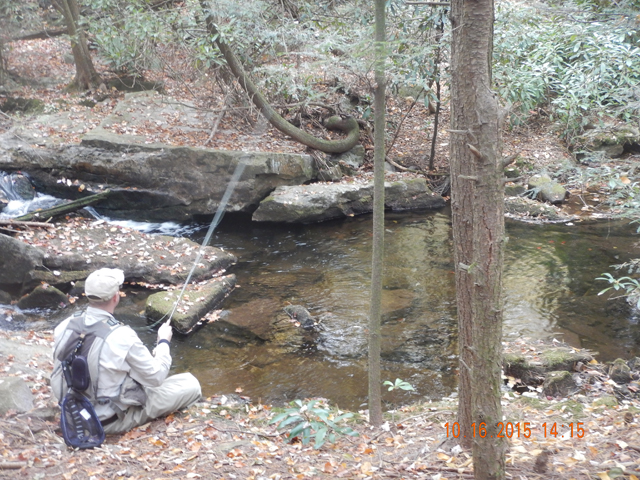 DSCN0719.jpg -                                