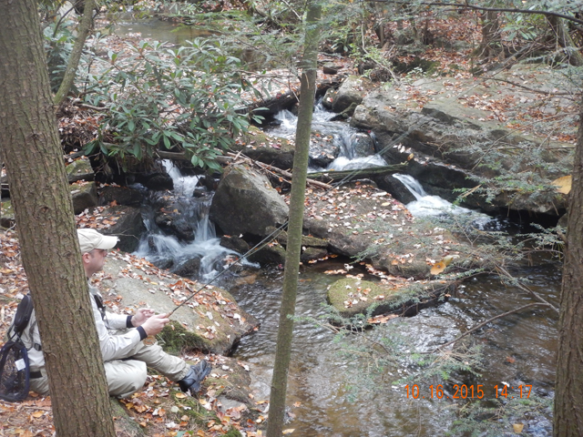 DSCN0720.jpg -                                