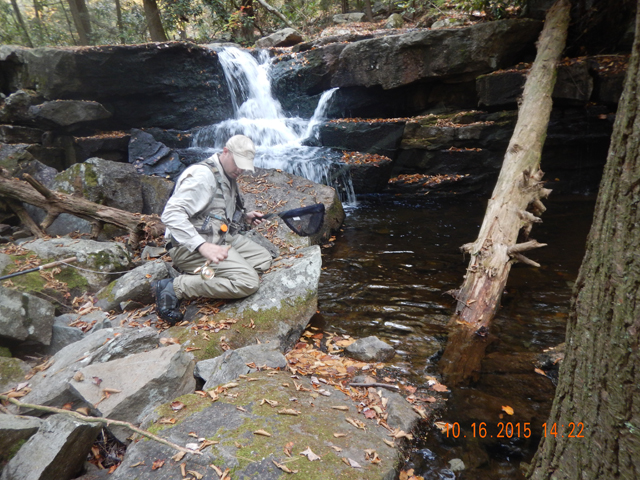 DSCN0722.jpg -                                