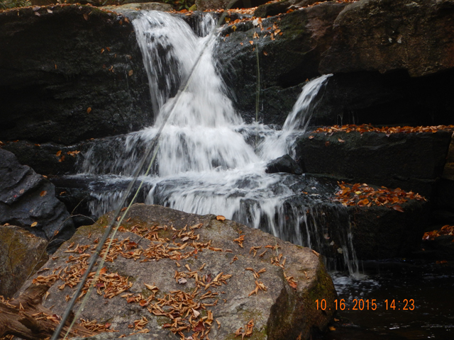 DSCN0724.jpg -                                