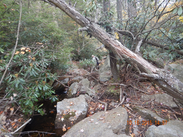 DSCN0730.jpg -                                