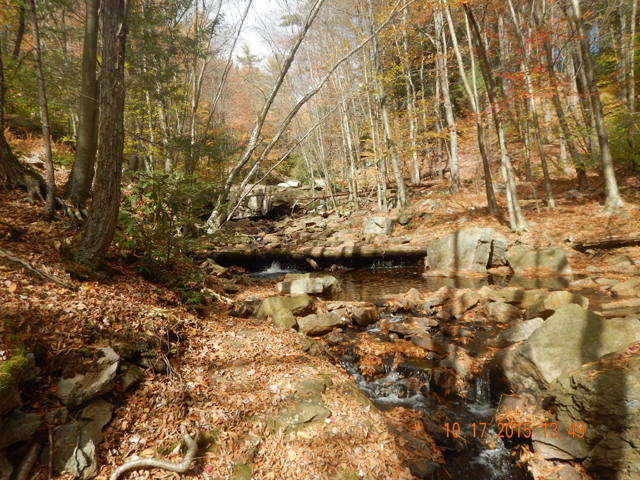 DSCN0741.jpg -                                