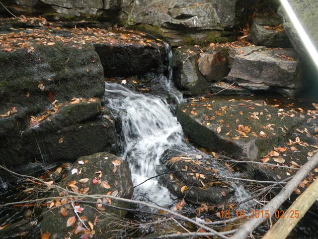 DSCN1560.jpg -                                