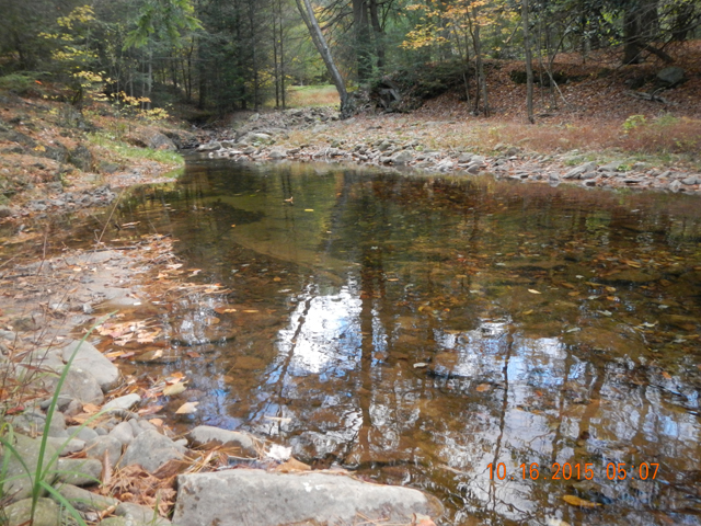 DSCN1566.jpg -                                