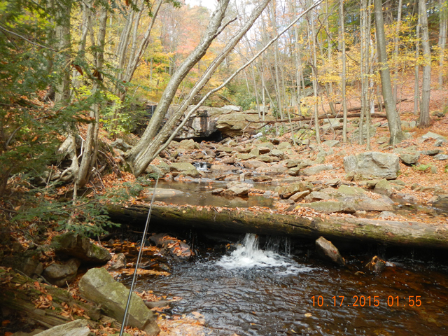 DSCN1569.jpg -                                