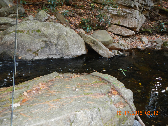 DSCN1571.jpg -                                